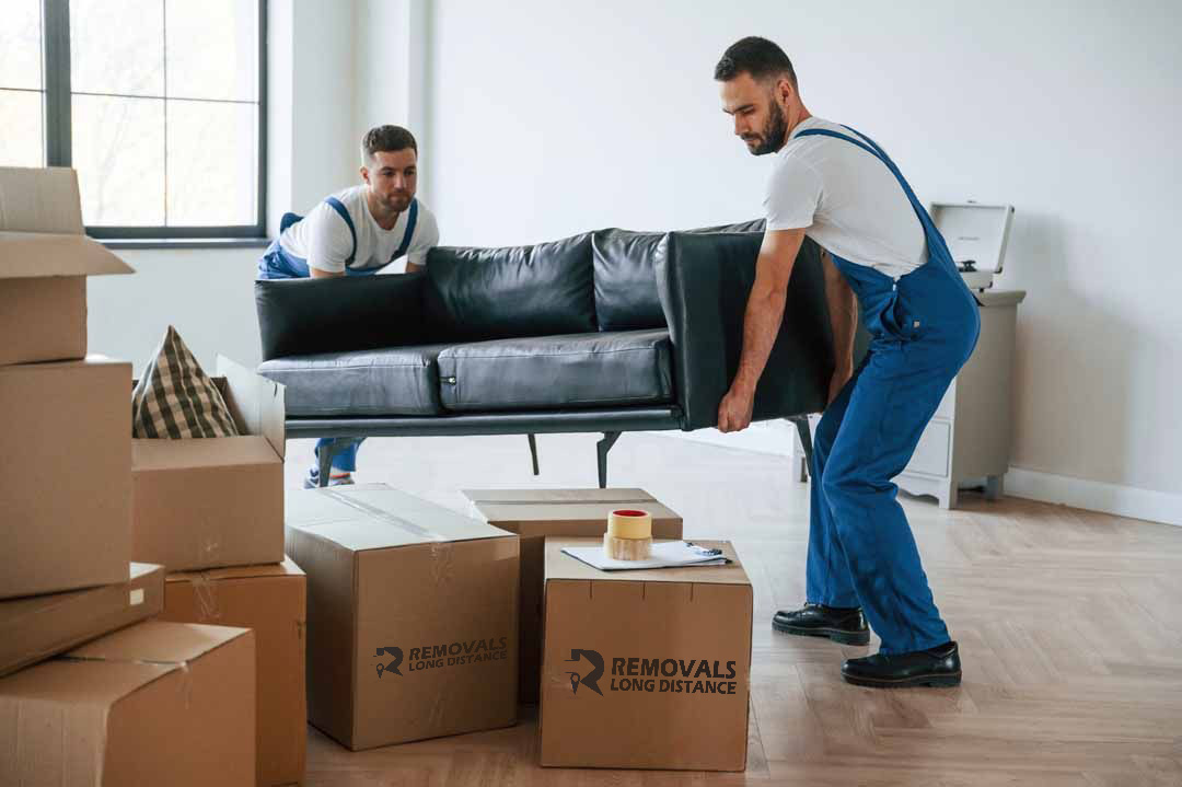 Furniture Moving Service